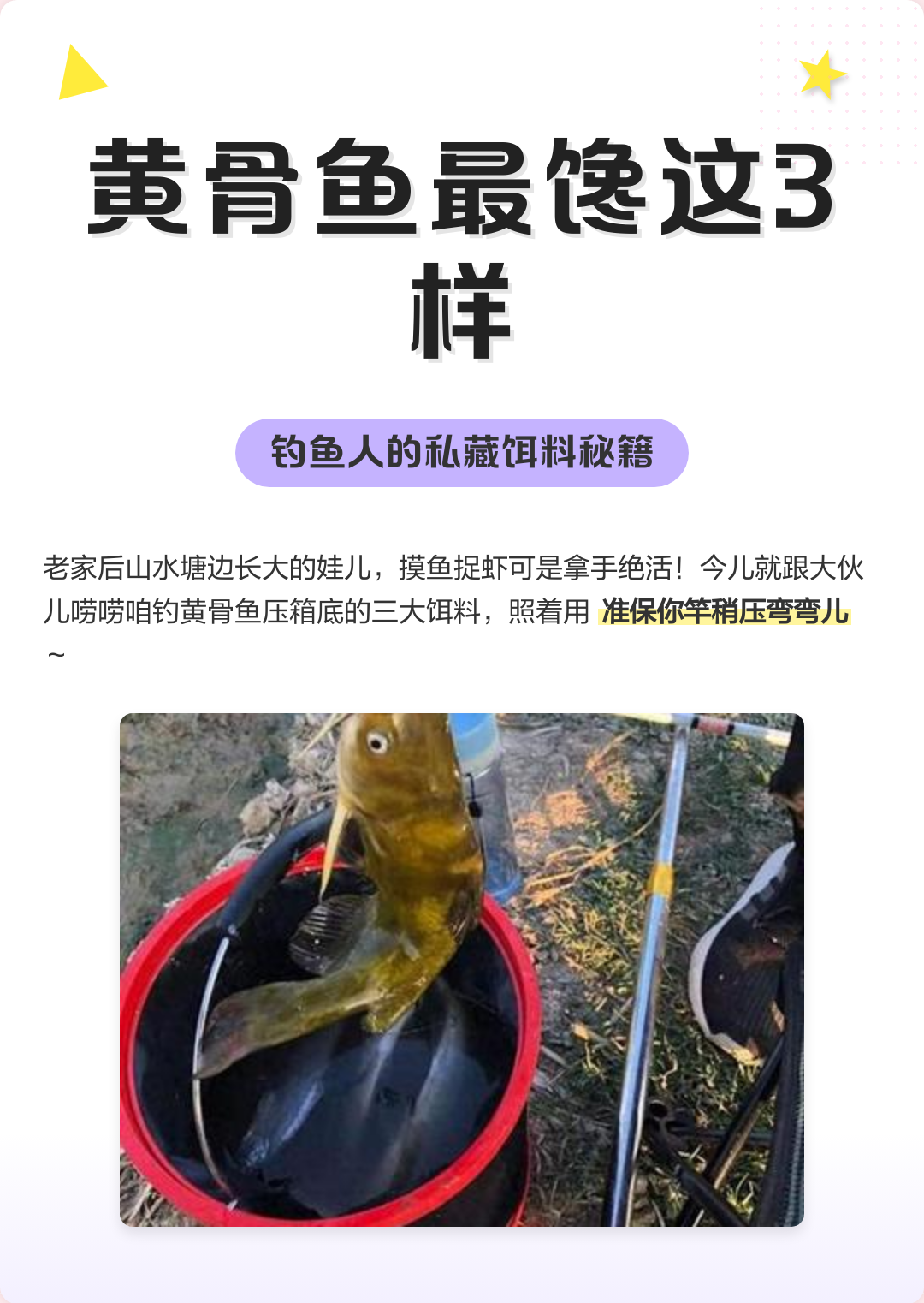 饵料拌法(钓鱼拌饵料)