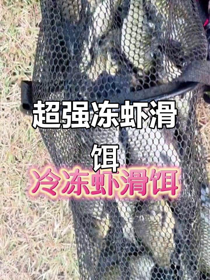 冬季河流海杆饵料(冬季海竿用什么饵钓大鱼) 冬季河流海杆饵料(冬季海竿用什么饵钓大鱼)