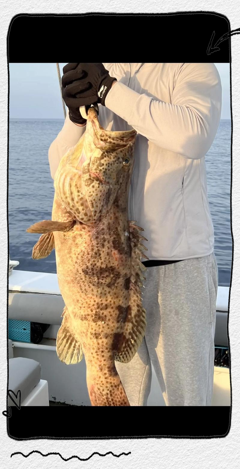 海钓风大浪大怎么钓鱼(海钓大风大浪有没有鱼钓)