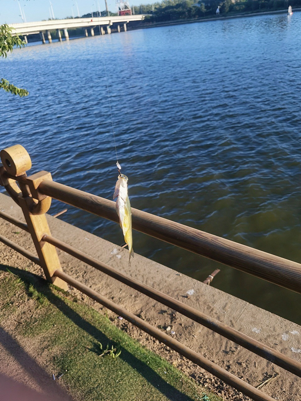 通州哪里可以路亚(通州区哪里可以野钓) 通州哪里可以路亚(通州区哪里可以野钓)