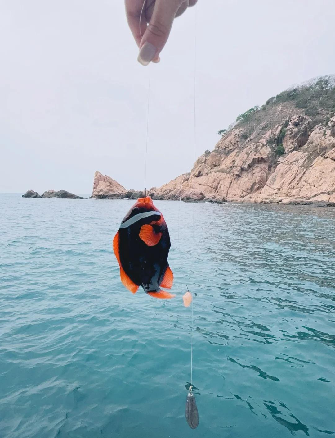 海钓和风向(钓海鱼和风向的关系) 海钓和风向(钓海鱼和风向的关系)