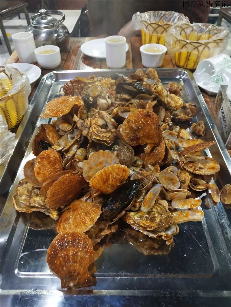 天津渔具展住宿(天津渔具展要门票吗)