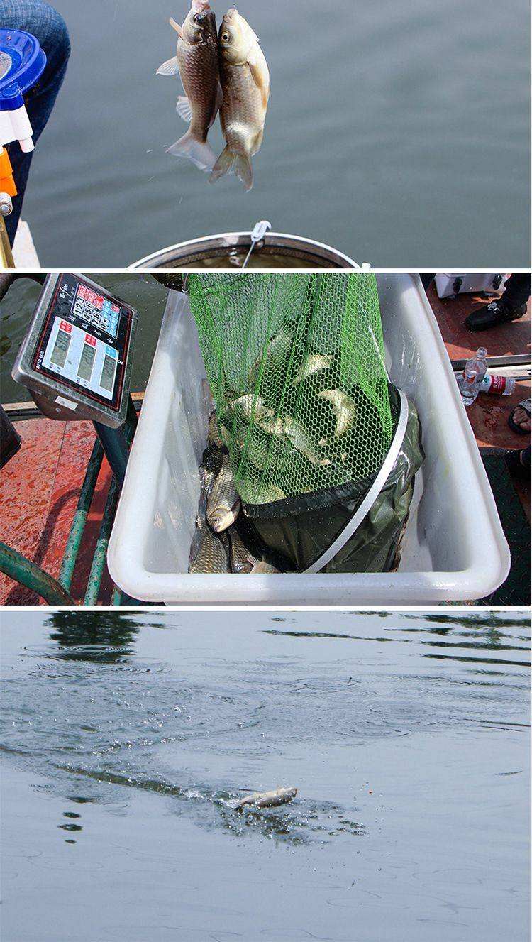 南方水库饵料搭配(南方水库一般有什么鱼)