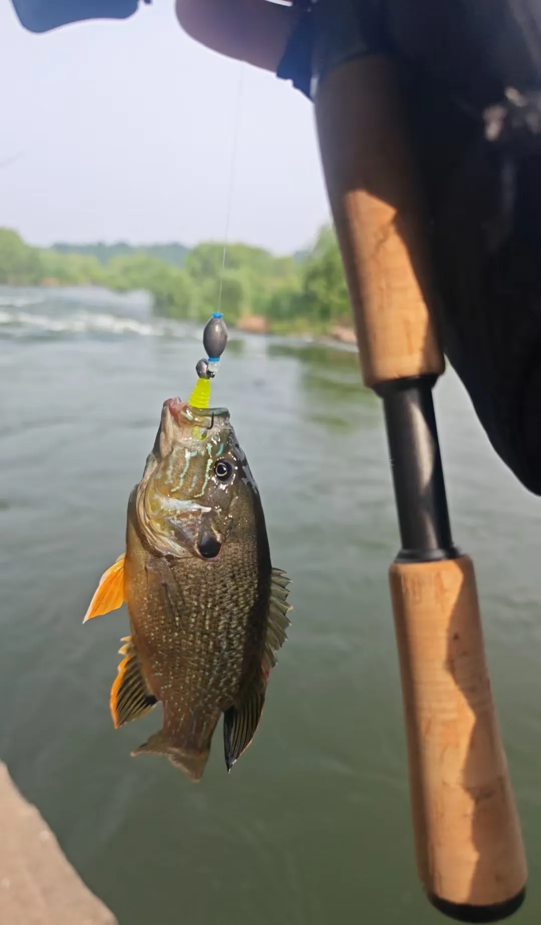 临沂路亚(临沂路亚水库最新消息)