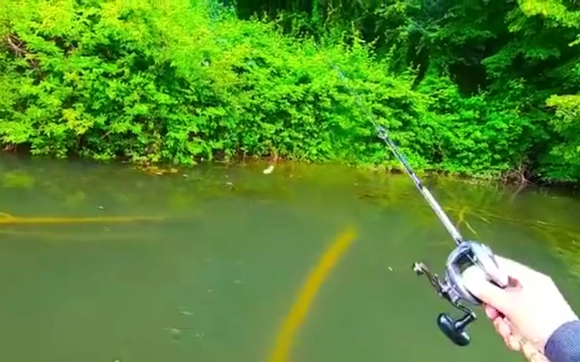 路亚国外(国外路亚资源)