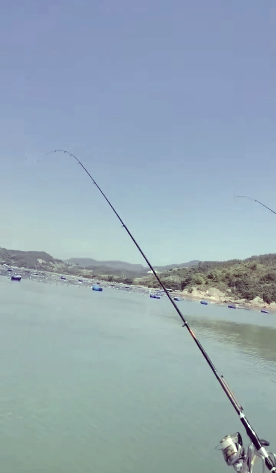 同桥海钓在哪里(同力桥哪里钓鱼好) 同桥海钓在哪里(同力桥哪里钓鱼好)