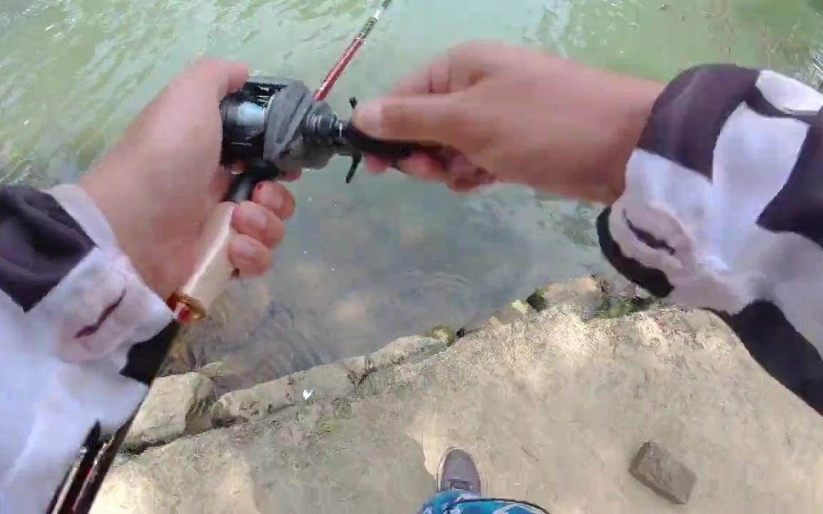 路亚在四川的对象鱼(路亚在四川一般能钓什么鱼)