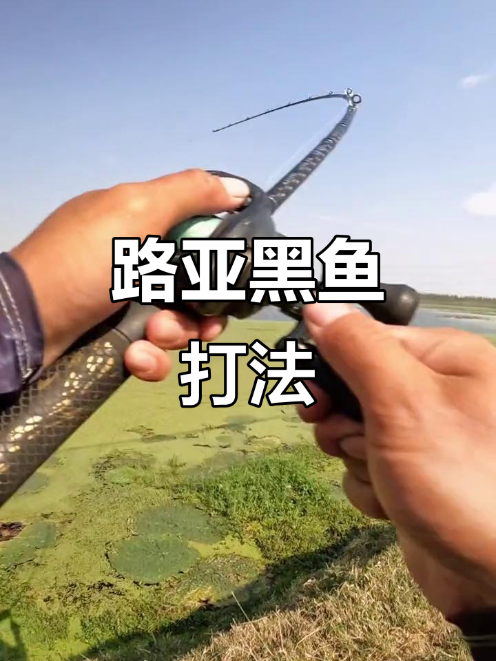 台钓刺鱼手法技巧(台钓用有刺钩还是无刺钩) 台钓刺鱼手法技巧(台钓用有刺钩还是无刺钩)