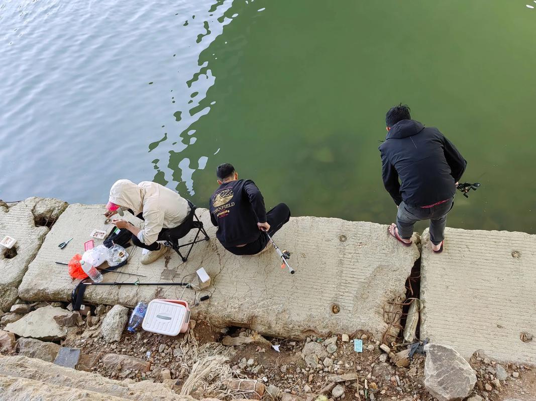 台山铜鼓海钓鱼出售(台山铜鼓海钓鱼出售信息) 台山铜鼓海钓鱼出售(台山铜鼓海钓鱼出售信息)