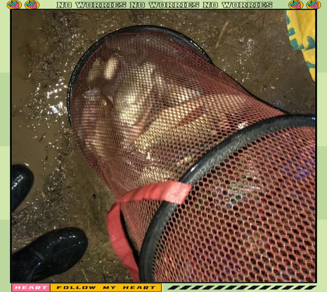 如何制作冻饵料(钓鱼冷冻饵制作视频) 如何制作冻饵料(钓鱼冷冻饵制作视频)