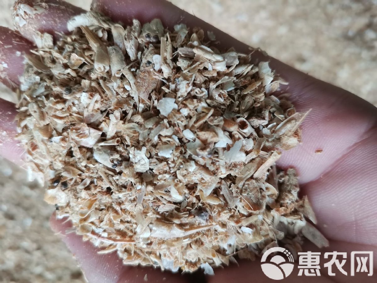 海饵料(海饵料怎么样做)