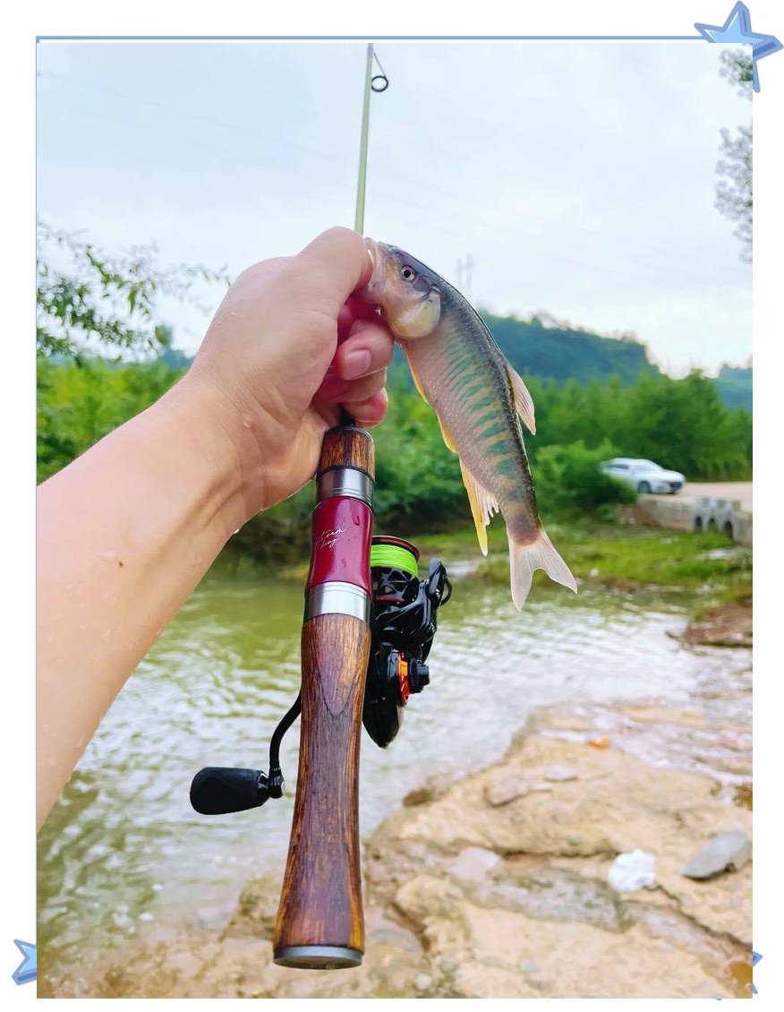 小溪路亚钓鱼技巧(路亚溪钓用什么饵和线主) 小溪路亚钓鱼技巧(路亚溪钓用什么饵和线主)
