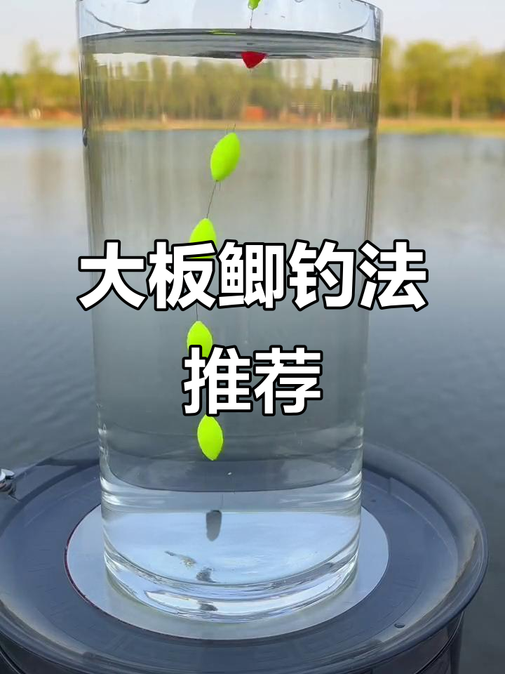 七星瓢钓鱼技巧(七星瓢钓鱼怎么调漂) 七星瓢钓鱼技巧(七星瓢钓鱼怎么调漂)