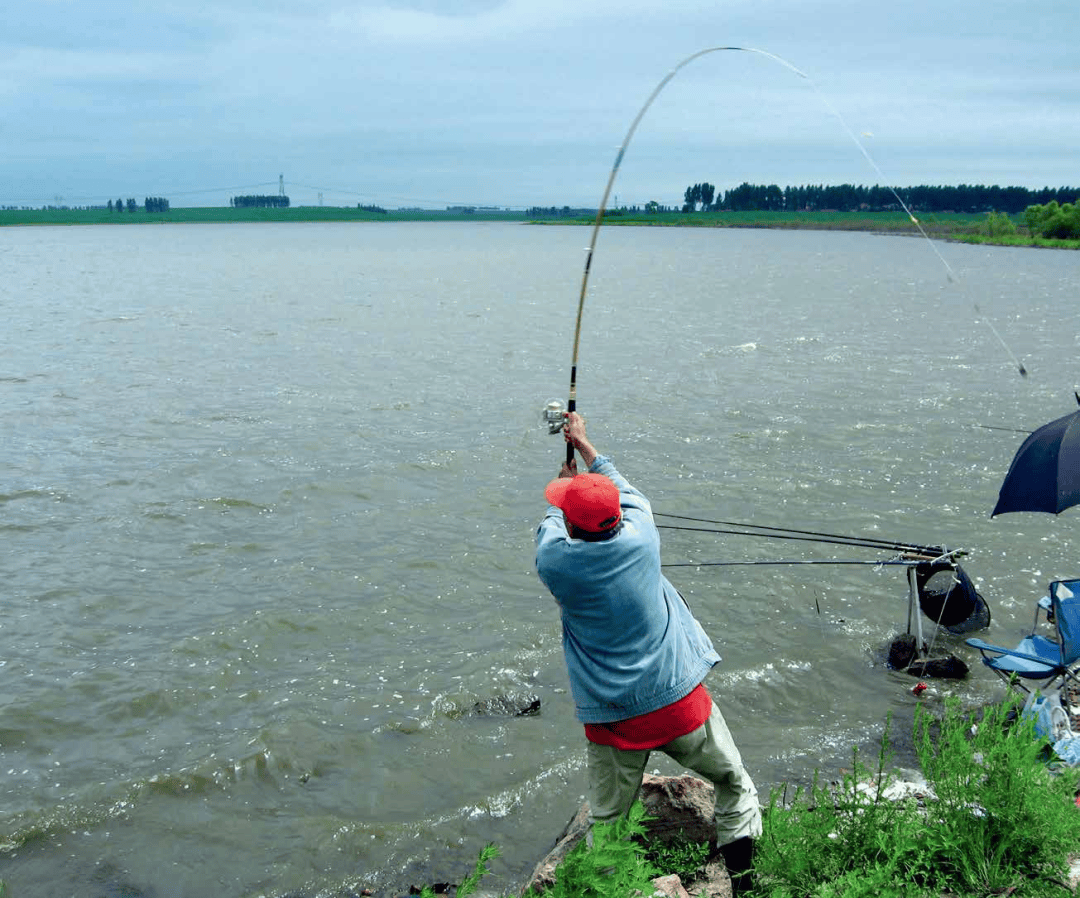 抬竿刺鱼技巧(抬竿刺鱼技巧视频钓鱼比赛)