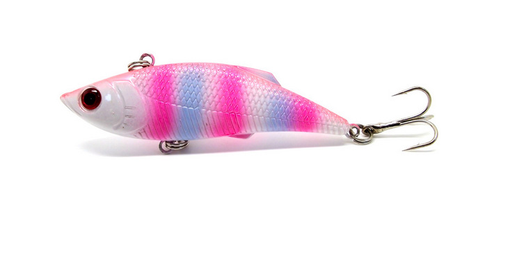 上海嘉定渔具批发(嘉定哪里有卖鱼的地方)