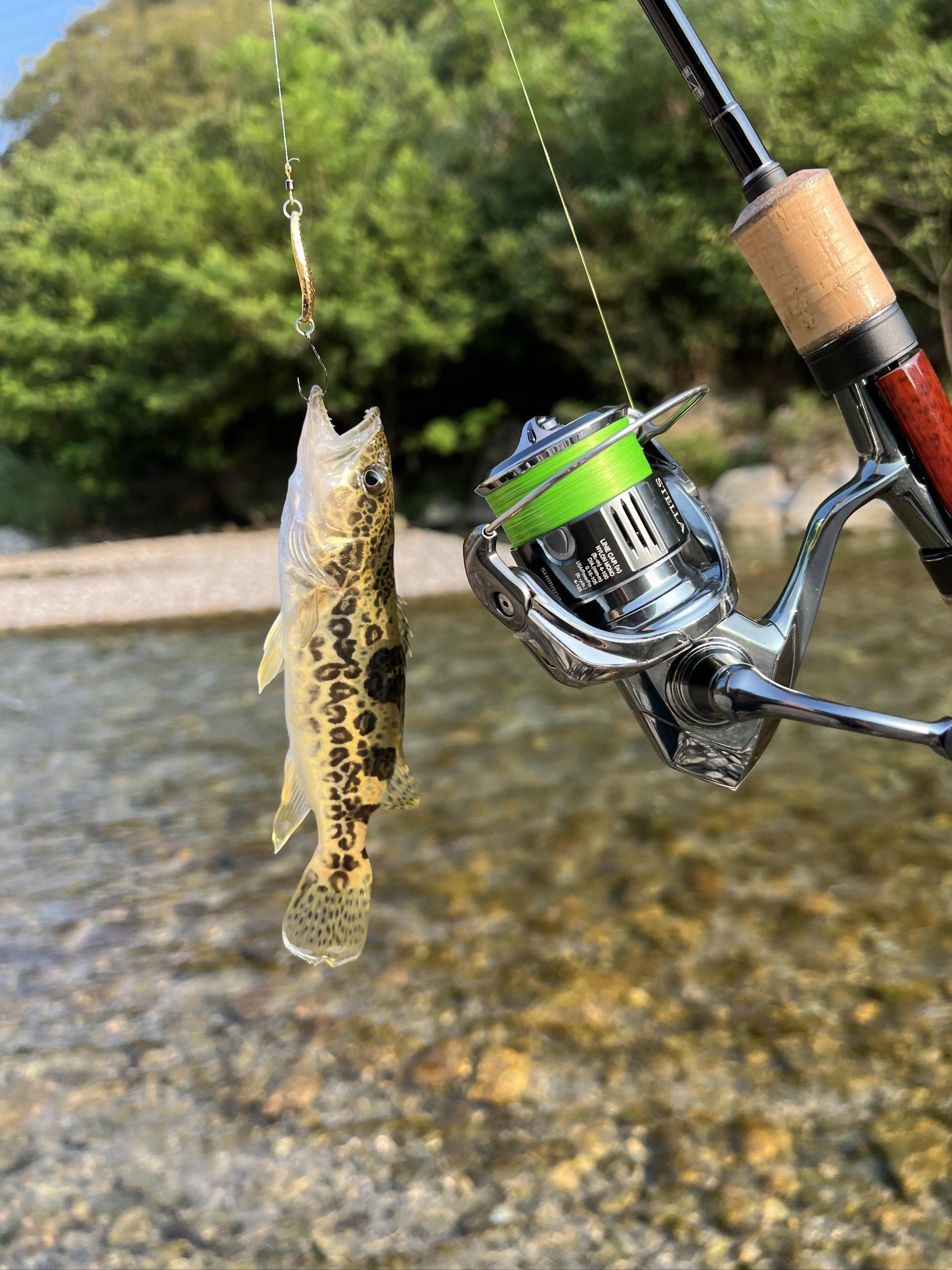 秋天收起路亚竿(秋天收起路亚竿怎么钓鱼)