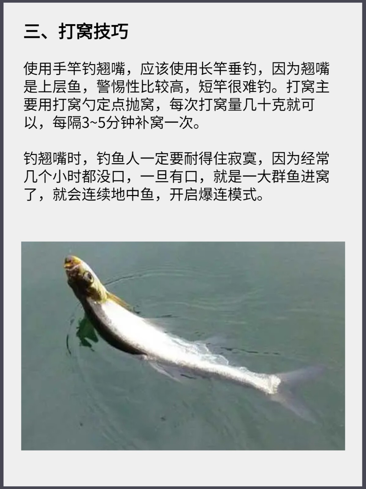 远投钓翘壳的技巧(翘嘴远投用什么调性)