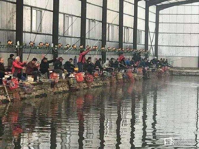 最新大棚钓鱼技巧(大棚钓鱼视频大全高清) 最新大棚钓鱼技巧(大棚钓鱼视频大全高清)