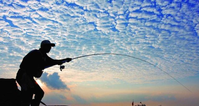 淡水钓鱼与海钓(淡水鱼好钓还是海水鱼好钓) 淡水钓鱼与海钓(淡水鱼好钓还是海水鱼好钓)