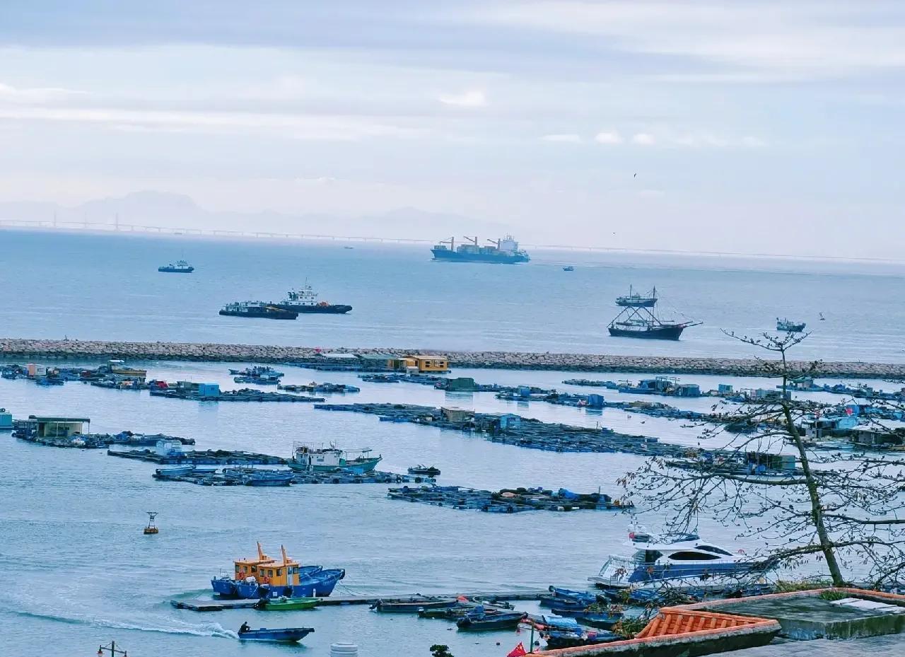 汕尾海钓浮台303(海钓是浮钓还是沉底钓) 汕尾海钓浮台303(海钓是浮钓还是沉底钓)