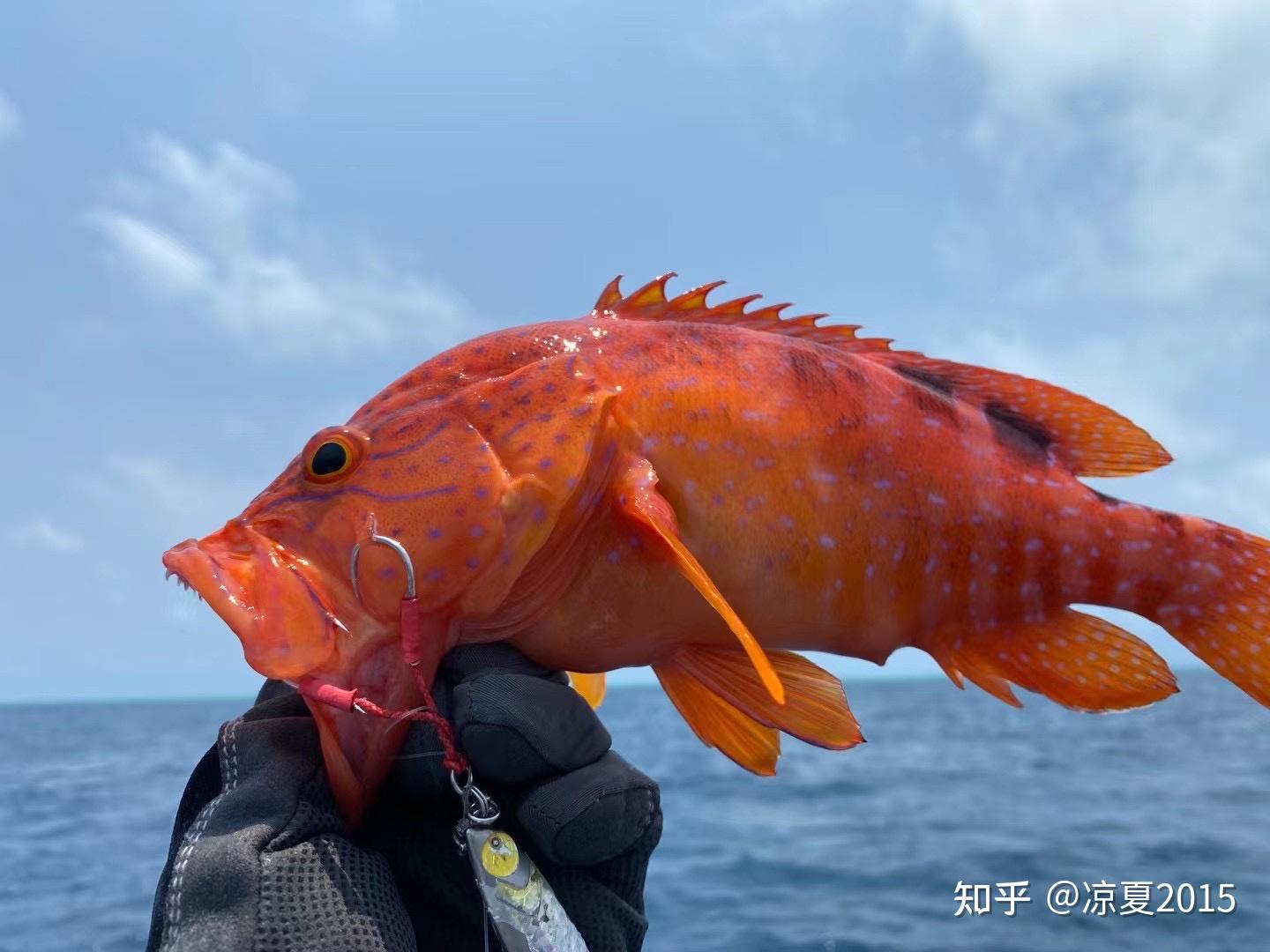 汕尾海钓浮台303(海钓是浮钓还是沉底钓) 汕尾海钓浮台303(海钓是浮钓还是沉底钓)