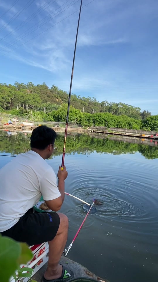 路亚小草鱼(路亚野钓草鱼)