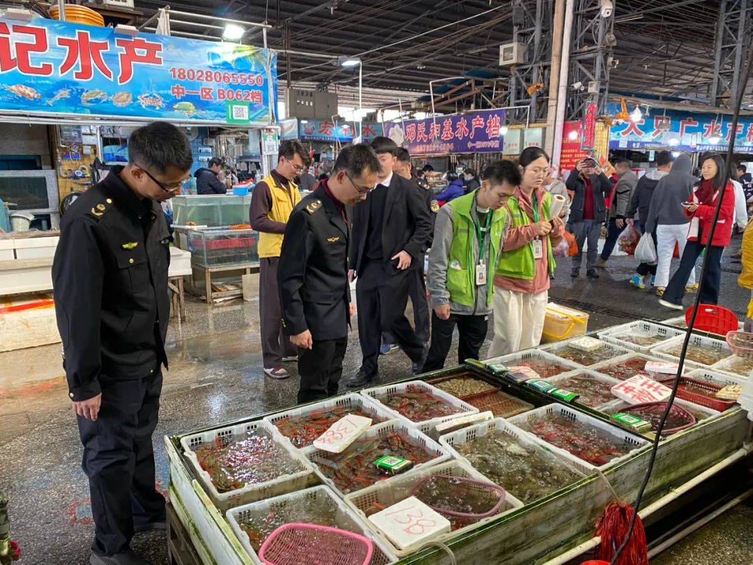 常德桥南渔具市场(常德最大的鱼市场在哪里)