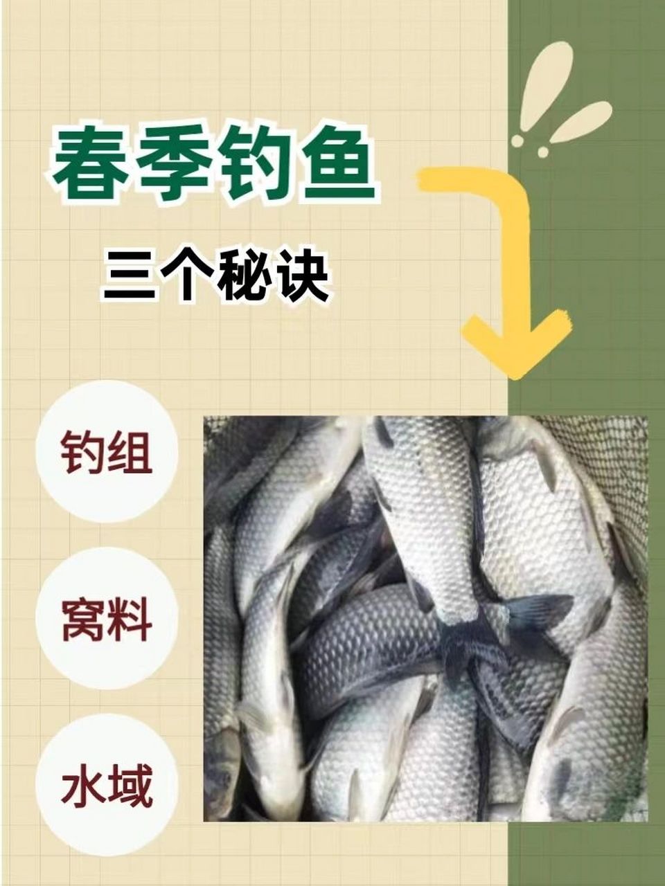 春季河里钓鲤鱼技巧(春天河里钓鲤鱼要钓深水还是浅水) 春季河里钓鲤鱼技巧(春天河里钓鲤鱼要钓深水还是浅水)