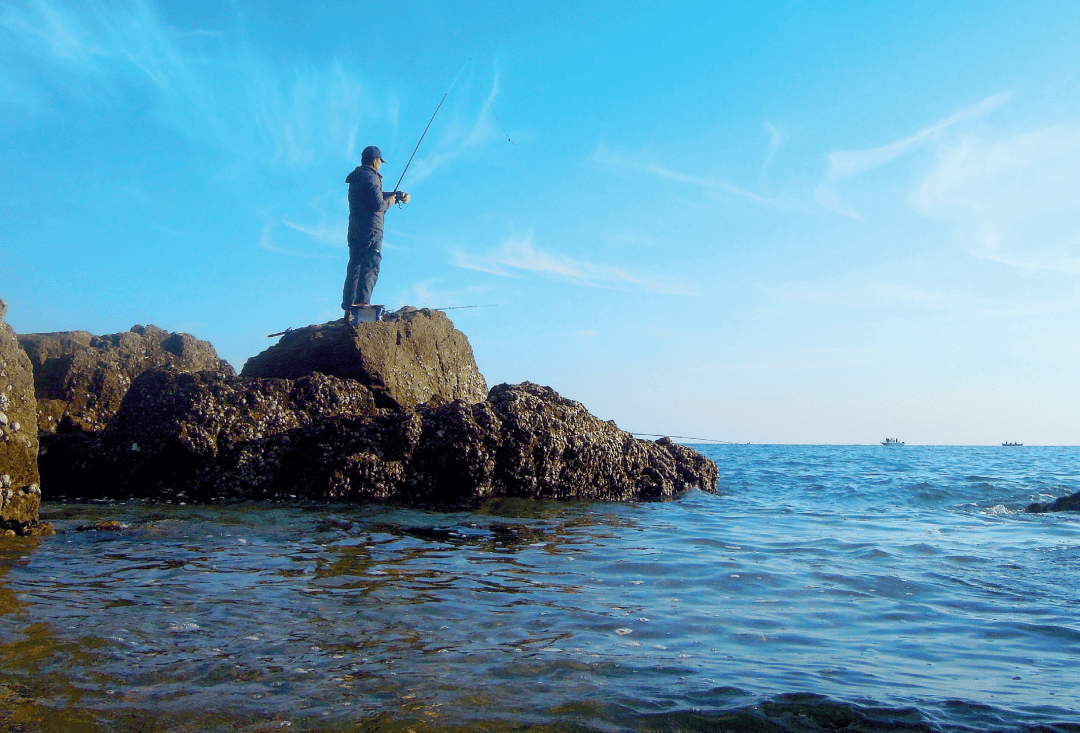 初春海钓黑雕(海钓黑鲷及钓法视频) 初春海钓黑雕(海钓黑鲷及钓法视频)