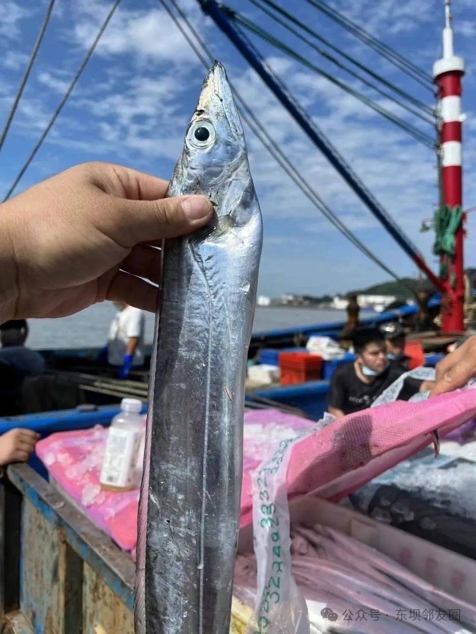 汕尾海钓地点(汕尾可以钓鱼的水库)