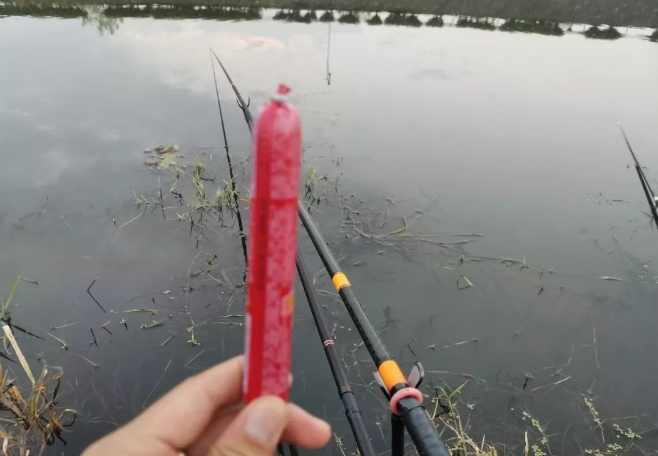 手竿钓昂刺鱼技巧(手竿钓昂刺鱼技巧图解) 手竿钓昂刺鱼技巧(手竿钓昂刺鱼技巧图解)