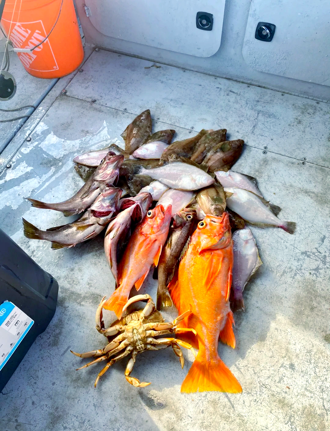 海钓闷热容易吗(海钓温度过低好钓鱼么) 海钓闷热容易吗(海钓温度过低好钓鱼么)