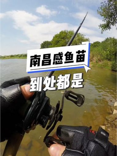 路亚野钓南昌(南昌路亚渔具店)