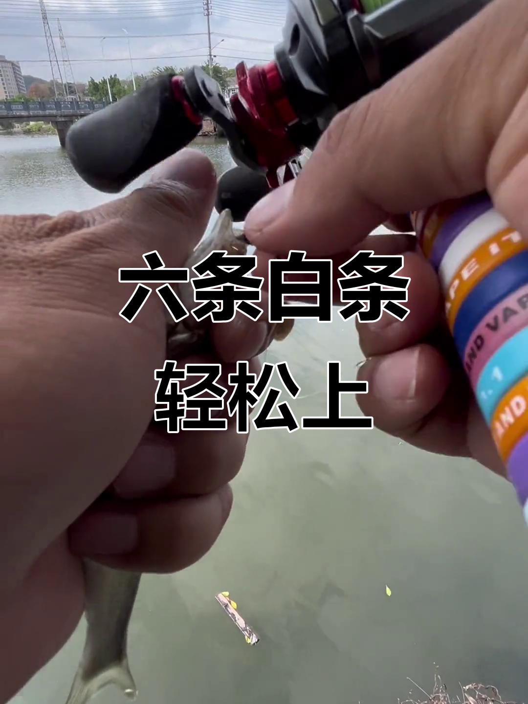 路亚钓白条技巧(教大家个路亚钓白条的好法子) 路亚钓白条技巧(教大家个路亚钓白条的好法子)