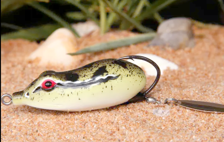 路亚m钓(路亚M钓用多重铅)