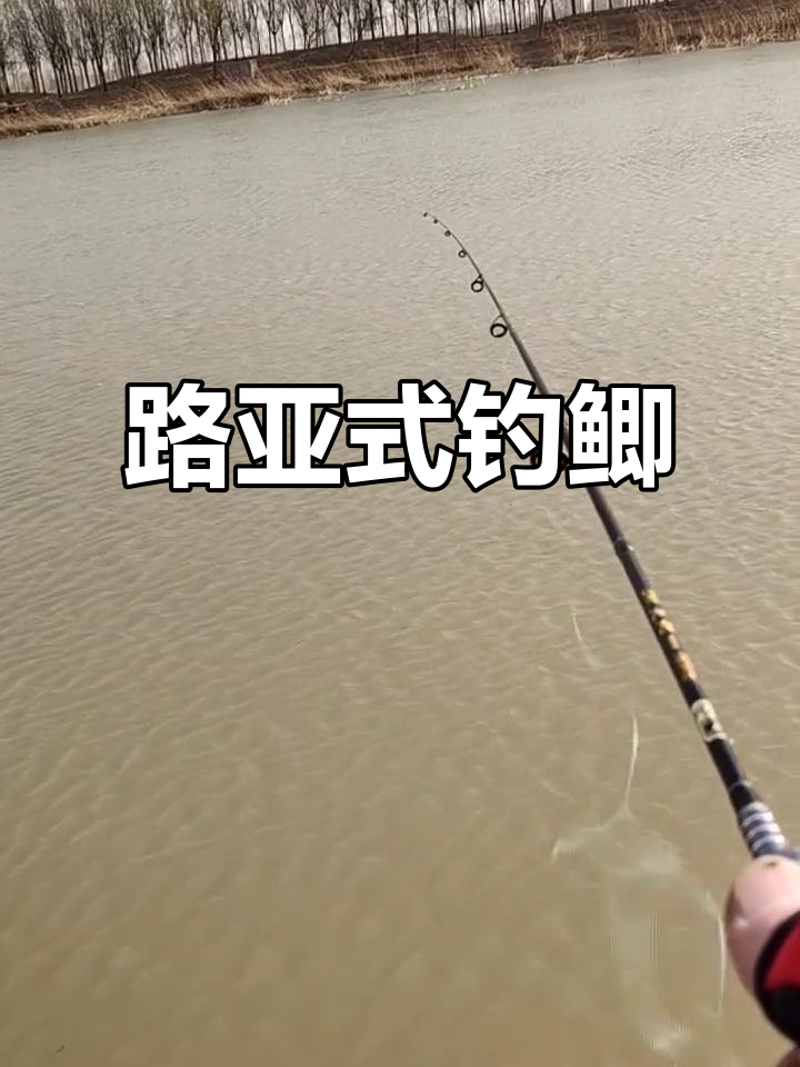 路亚滑漂鲫鱼(路亚滑漂鲫鱼最佳钓法) 路亚滑漂鲫鱼(路亚滑漂鲫鱼最佳钓法)