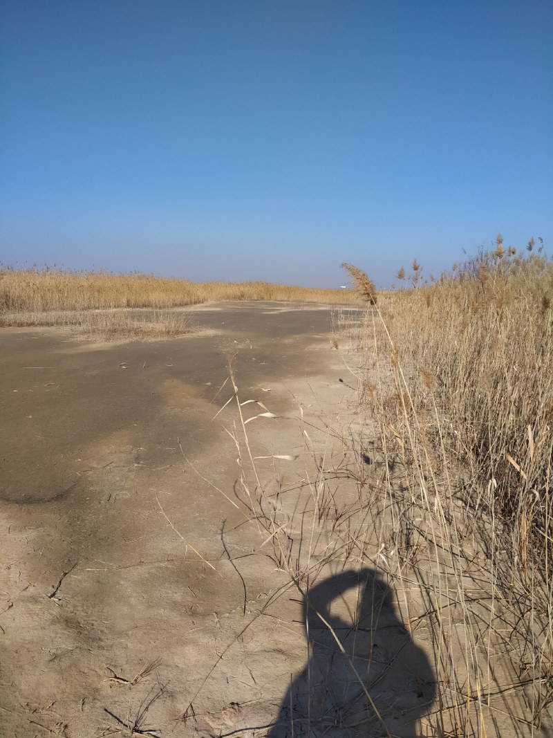 凌海钓鱼信息(凌海海边哪里可以钓鱼)