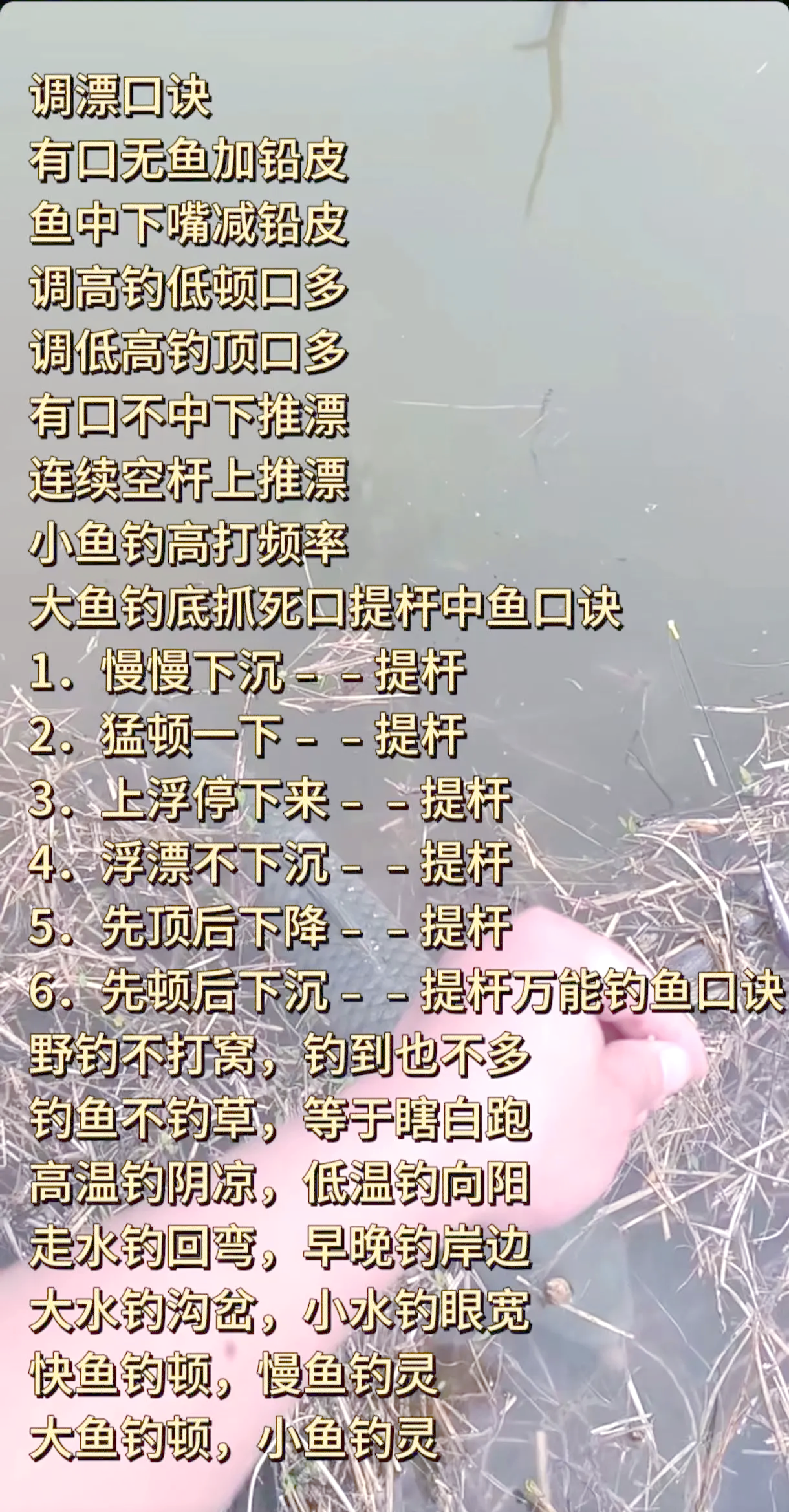 掉鲅鱼技巧(鲅鱼怎么钓最快)