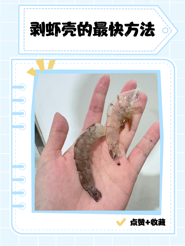 捕虾技巧(高效捕虾秘方) 捕虾技巧(高效捕虾秘方)