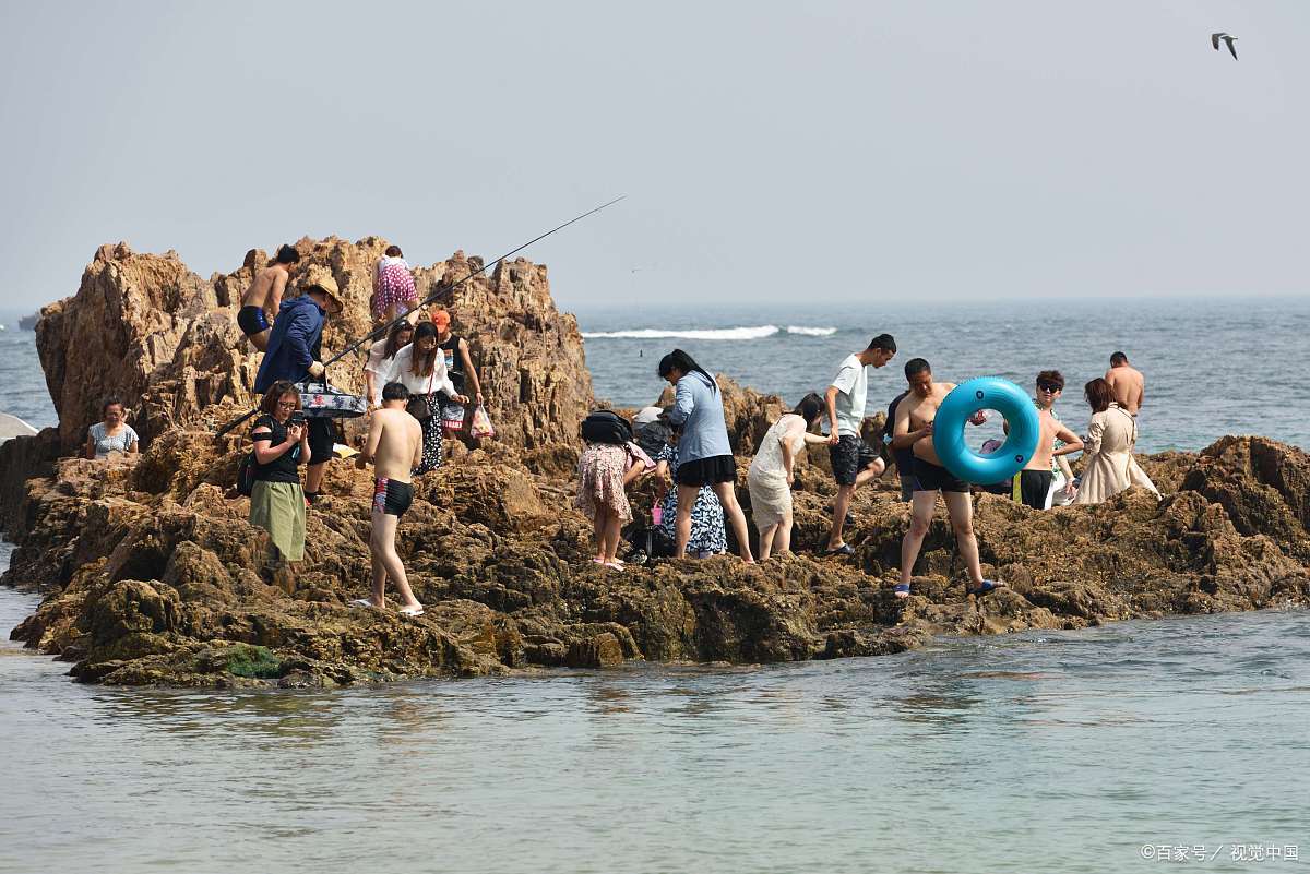 汕尾荒岛海钓(汕尾荒岛海钓场地址) 汕尾荒岛海钓(汕尾荒岛海钓场地址)