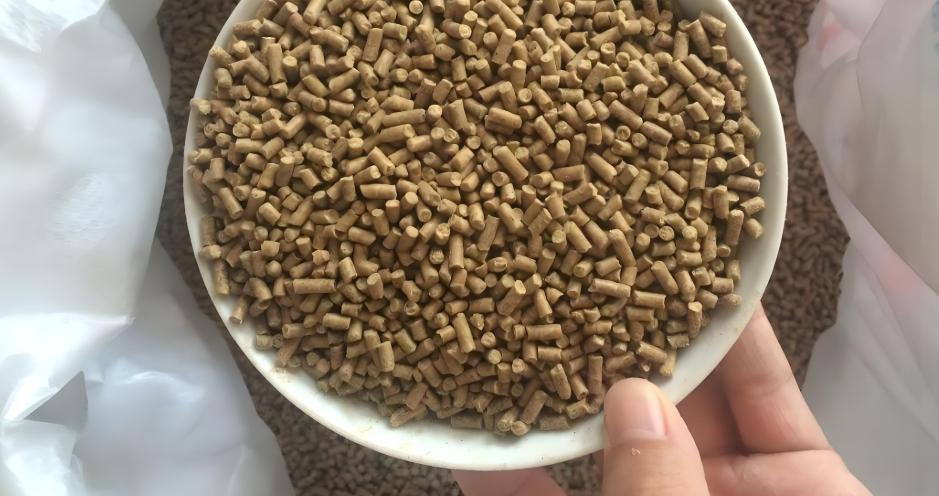 含颗粒多的饵料(含颗粒多的饵料是什么) 含颗粒多的饵料(含颗粒多的饵料是什么)