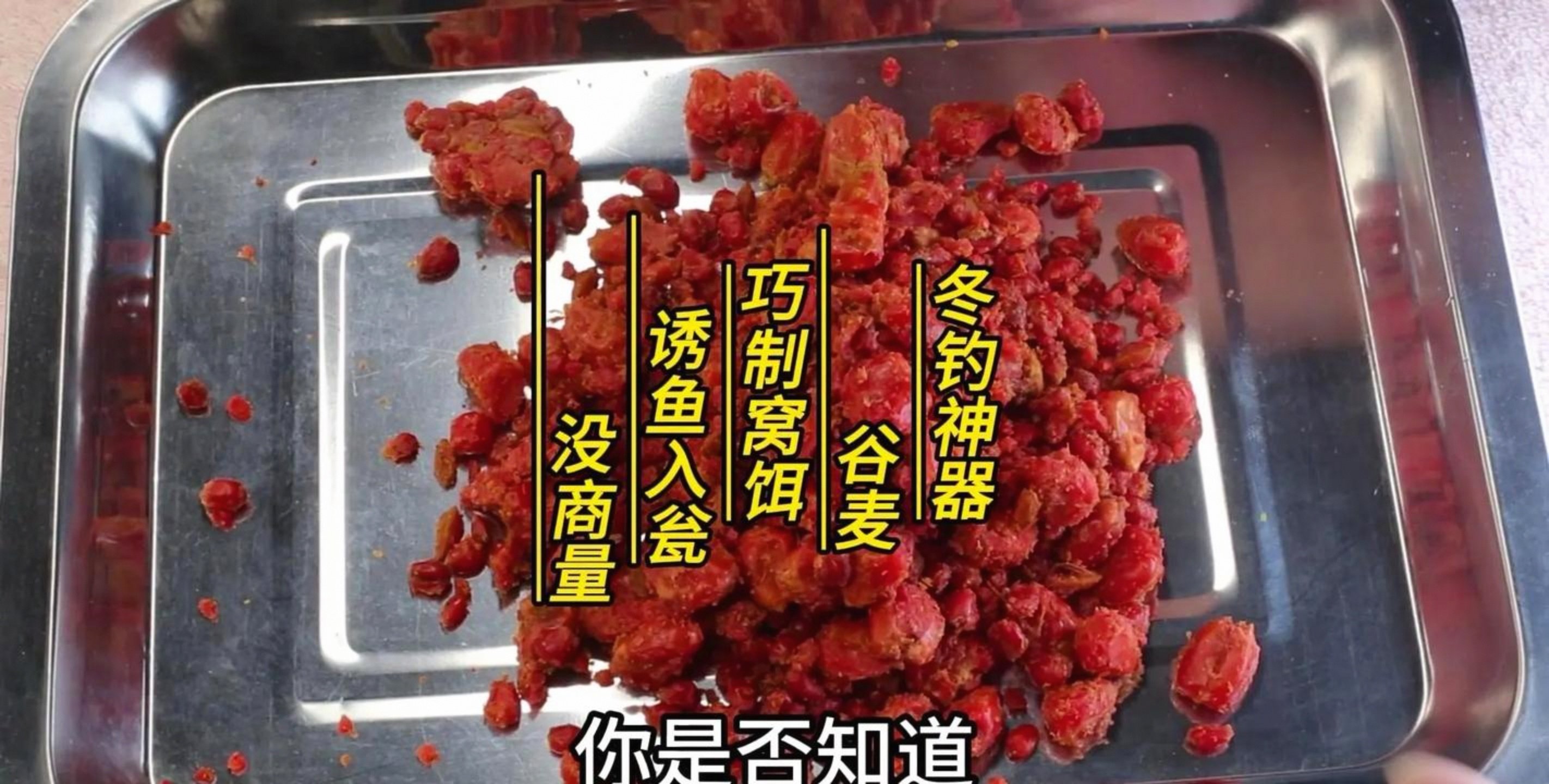 剩下的饵料(最好的钓鱼饵料排名)