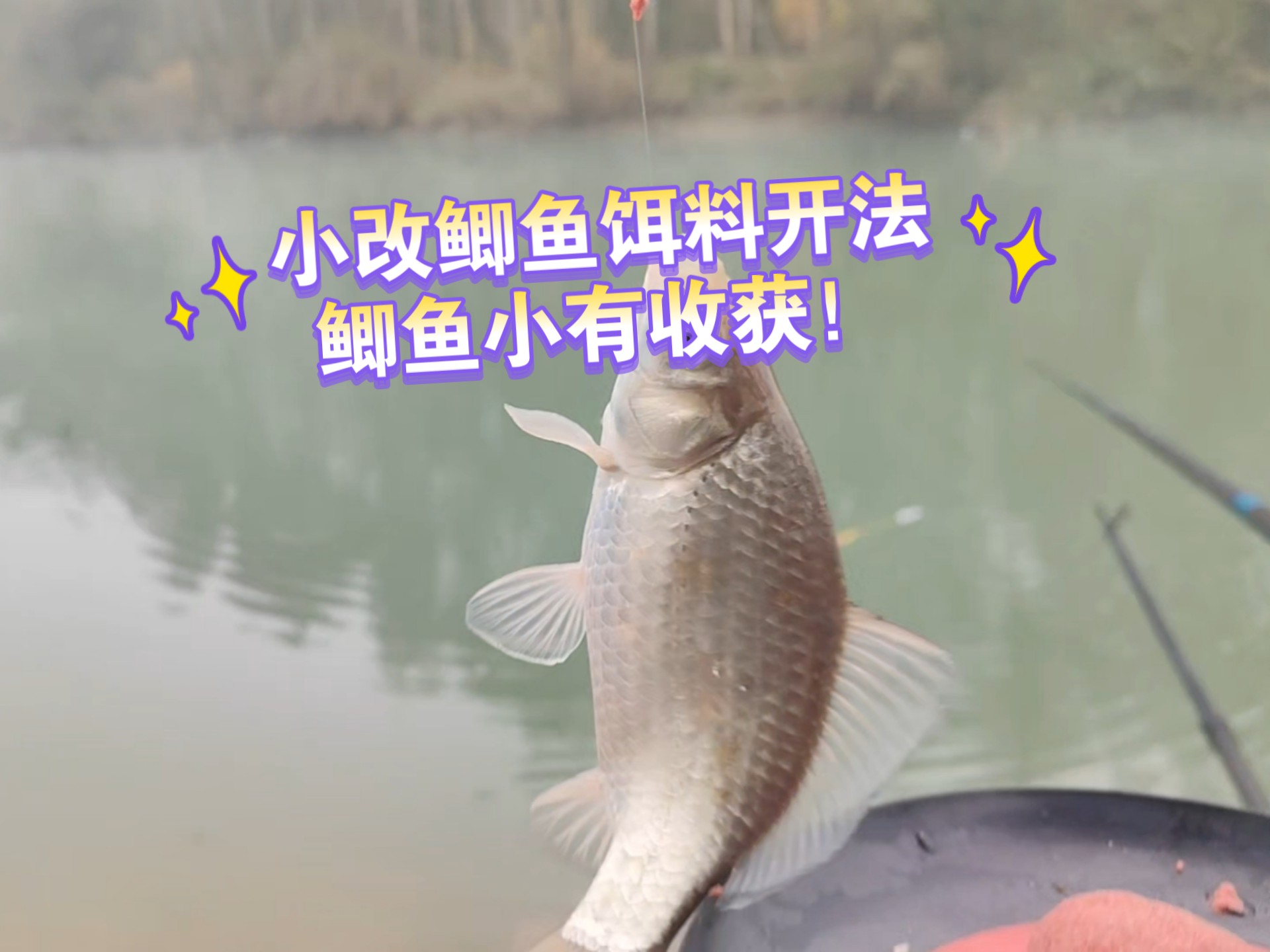 怎样开饵料(鱼饲料配方100例) 怎样开饵料(鱼饲料配方100例)