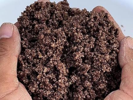 酒米窝料制作技巧(酒米窝料制作技巧图解)