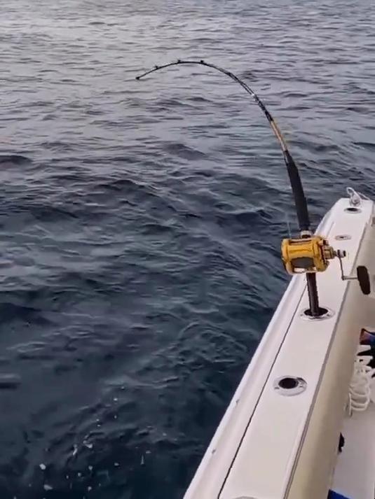 看海钓大鱼视频高清(看海钓大鱼视频高清图片) 看海钓大鱼视频高清(看海钓大鱼视频高清图片)