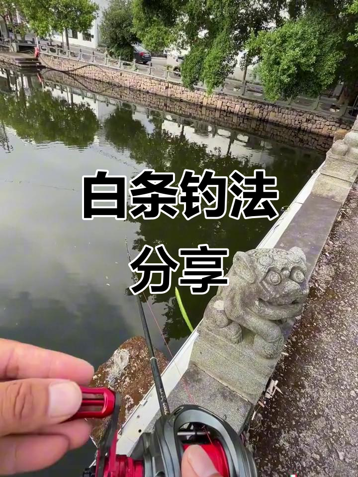 开白条的技巧(怎么可以开白条)