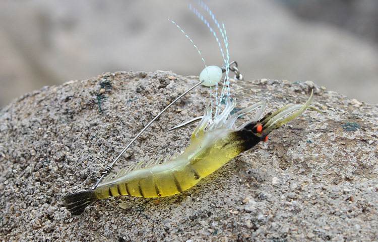 海钓抛竿活虾(海钓活虾钓底还是钓浮)