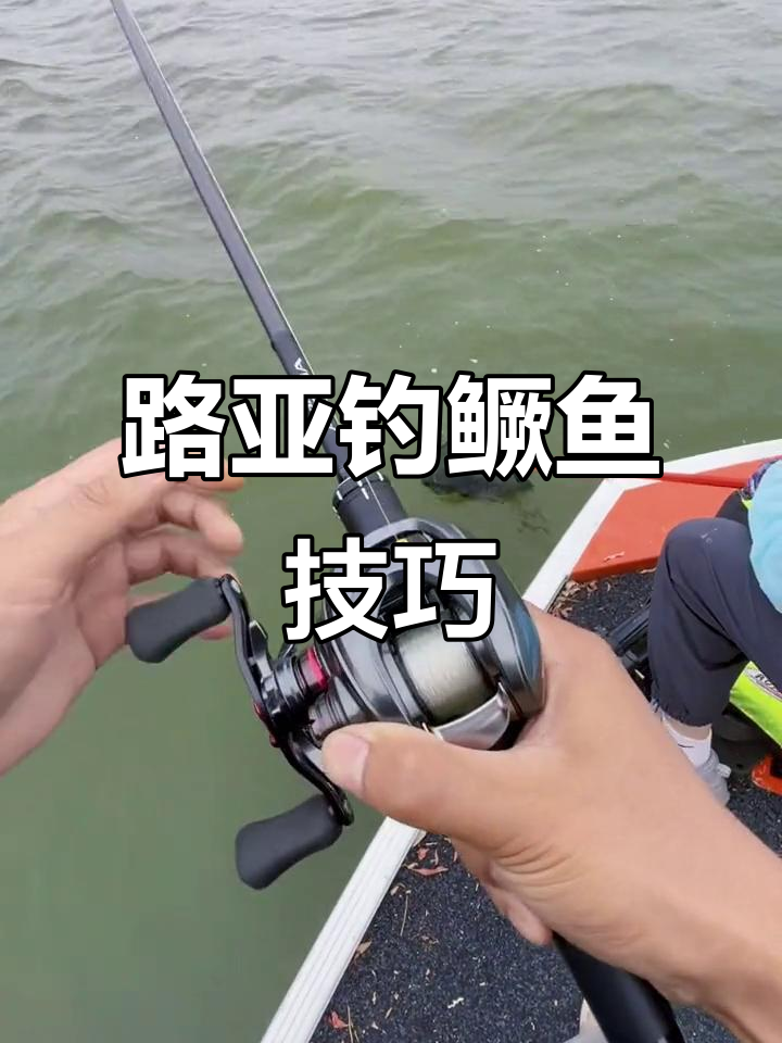 使用抄网的技巧(使用抄网的技巧有哪些)