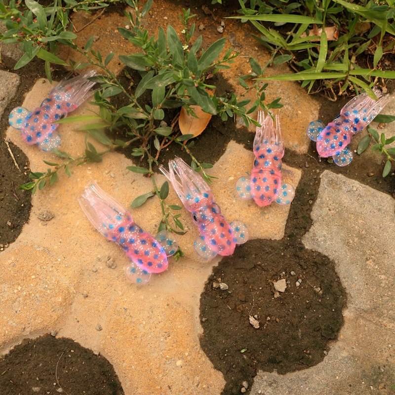 鱿鱼喜欢什么饵料(鱿鱼作饵适钓淡水鱼鱼) 鱿鱼喜欢什么饵料(鱿鱼作饵适钓淡水鱼鱼)