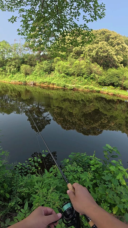 春天水库路亚(春天水库钓鱼有哪些技巧) 春天水库路亚(春天水库钓鱼有哪些技巧)